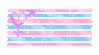 a transsexual flag stamp